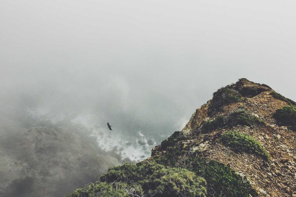 Sit quasi eum velit repellendus rerum