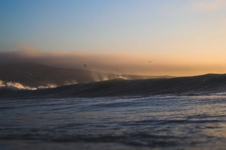 Fuga inventore earum saepe quas sit