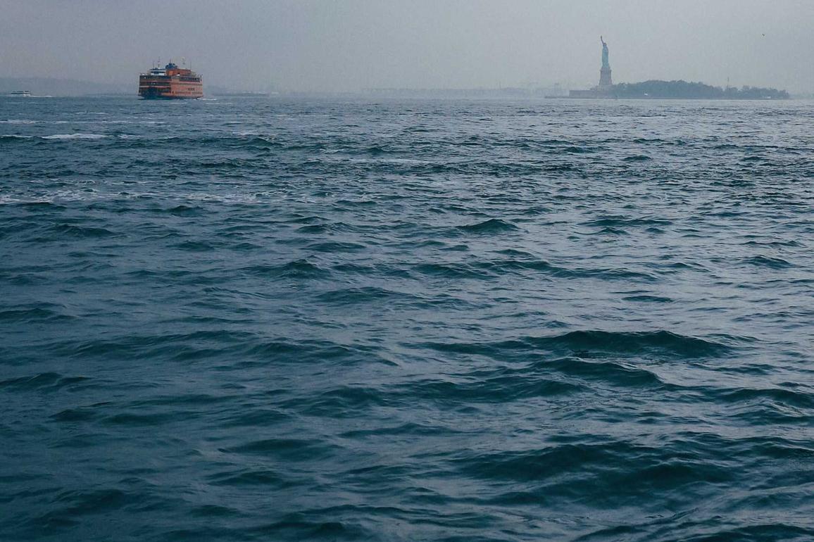 Ut ea velit voluptate similique