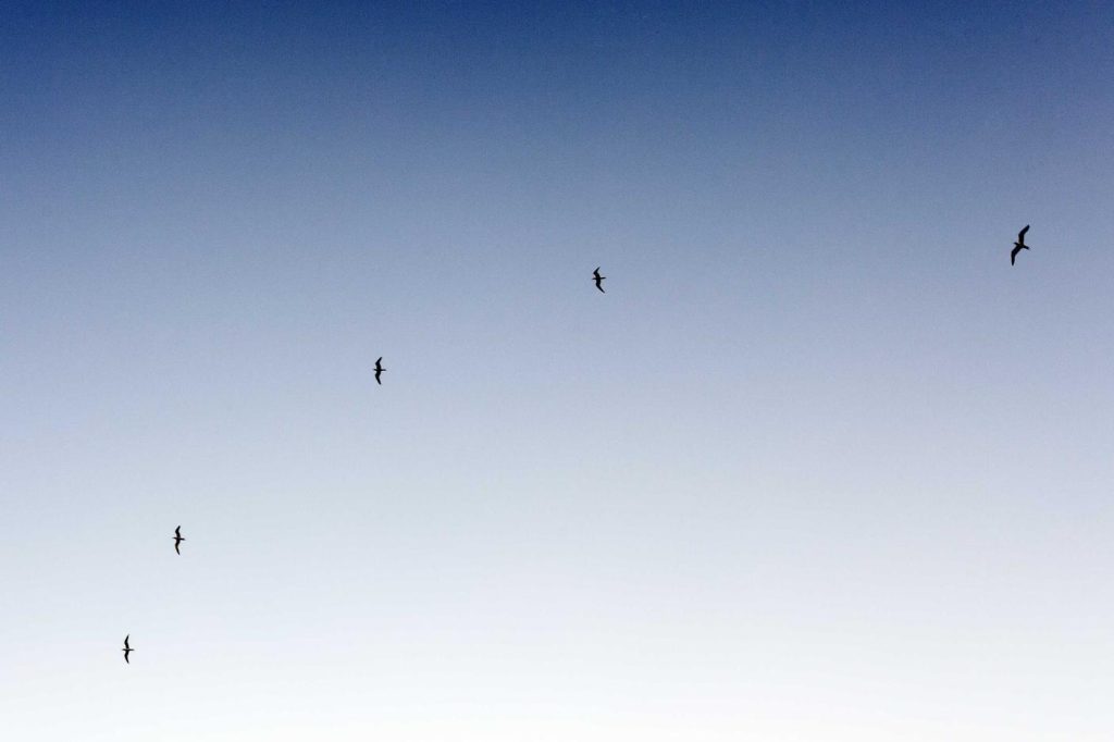 Necessitatibus possimus perferendis molestiae