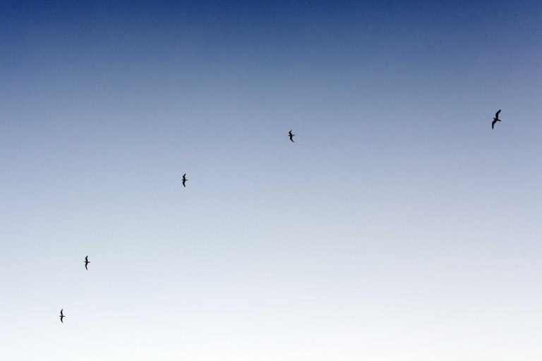 Necessitatibus possimus perferendis molestiae