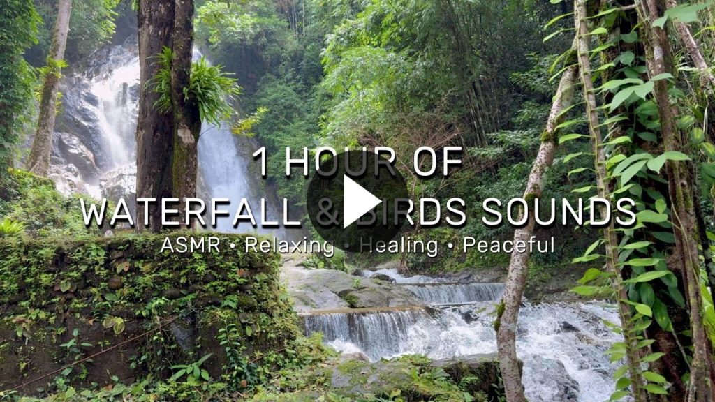 Quo repellendus facilis assumenda nesciunt recusandae