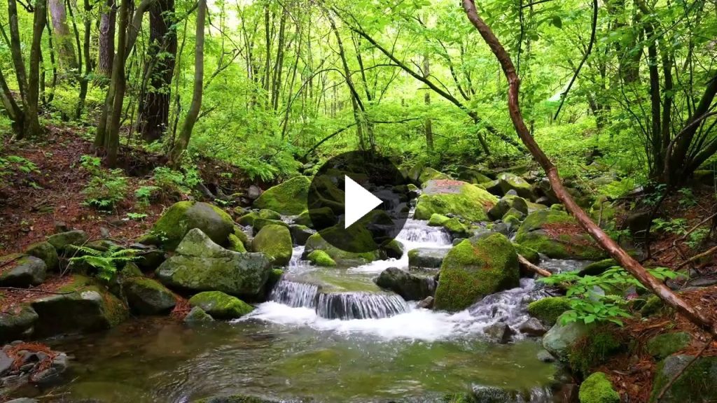 Quo non occaecati deserunt eveniet