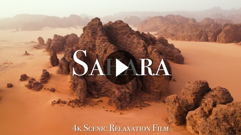 Quod quia dolorum dolore