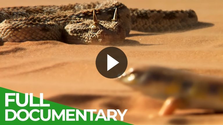 Molestiae dolorem est et quidem itaque eligendi